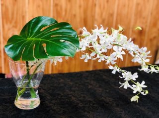お花がガッツリ倒れてますけど、何か問題ございますか？（写真:iStock）