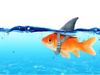 身を滅ぼしてもウソがやめられなかったコスプレ虚言癖男の話