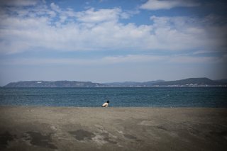 夏だ、夏！ 2020.7.22（水）