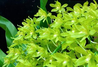 美意識を刺激 知的なアナタを演出する「グラマトフィラム」