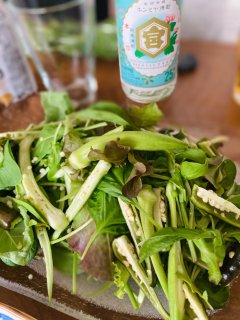 猛暑の昼呑み 2020.8.17（月）