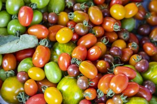 真夏の彩の氾濫 2020.8.18（火）