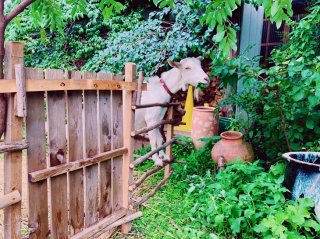 思ってたんと違う 2020.8.26(水)