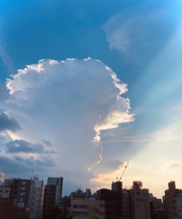 名残り惜しい 2020.8.29(土)