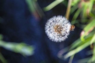 そのままが美しい 2020.9.2(水)