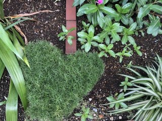 幸せの源は 2020.9.3(木)