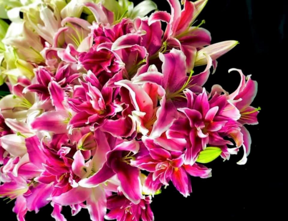 ハッピーエネルギーがいっぱい　（写真:浅野光寿）