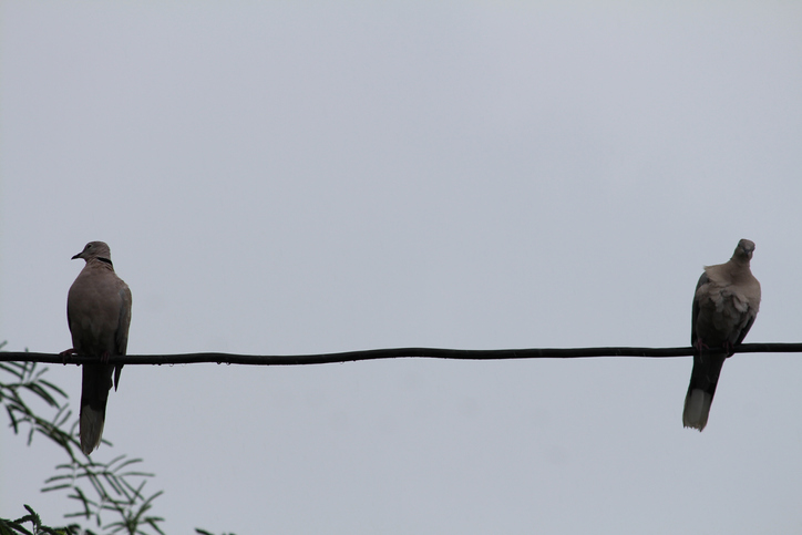 あえて距離をとる（写真:iStock）