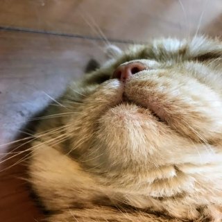 鼻息太郎 2020.9.30(木)