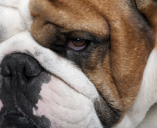 ほうれい線が濃くなると…（写真:iStock）