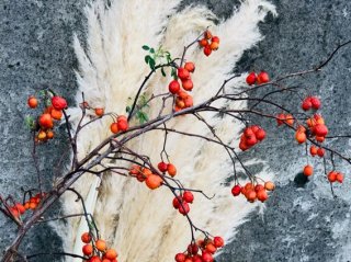 ドライになったパンパスグラスとの組み合わせは、まさに秋