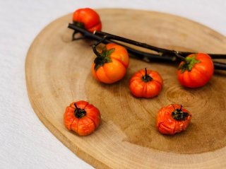 ソラナムパンプキン