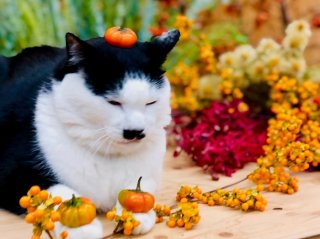 営業努力は惜しみません。どんなことでも耐えまっせ。byさぶ店長