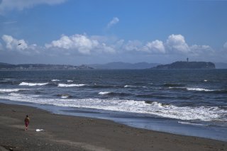 時には風に吹かれて 2020.10.5(月)