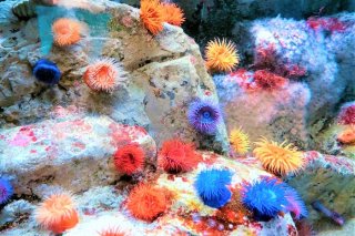 カラフル 2020.10.16（金）