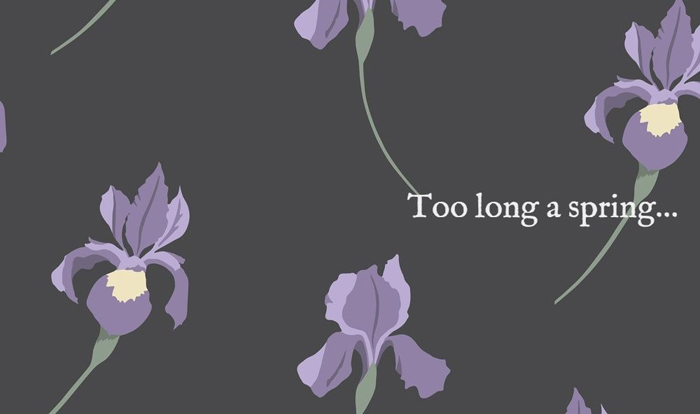 離婚そして、永すぎた春