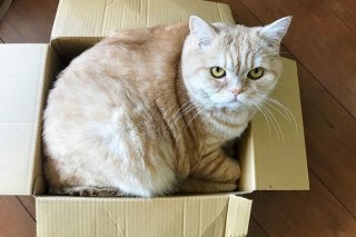 捨てられない箱 2020.11.６（金）