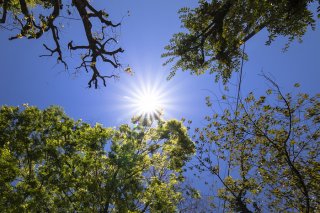 見上げれば空高く 2020.11.2（月）