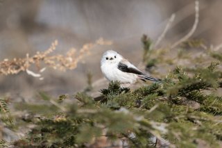 ただいま！ 2020.11.4（水）