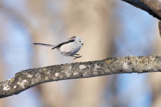 舞い降りる！2020.11.14（土）