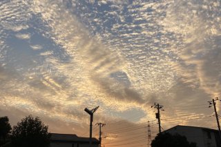 夕焼け小焼け 2020.11.20（金）