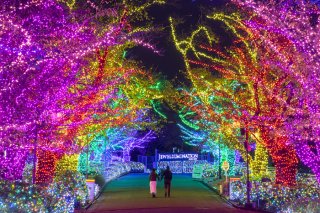 いつの間にか… 2020.11.12（木）