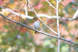 北海道の底力 2020.11.24（火）