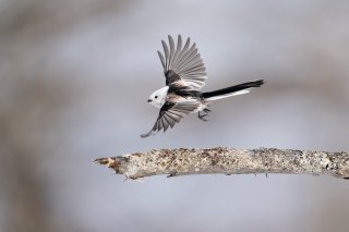 貴方のもとへ 2020.11.29（日）