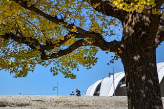 秋空の下 2020.11.27（金）