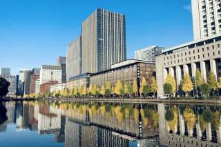 千代田区の紅葉 2020.11.30（月）