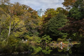 都会の景色 2020.12.2（水）