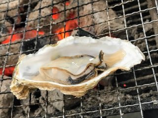 牡蠣小屋 2020.12.11（金）