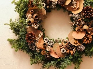 なぜ必要？クリスマス＆お正月必須アイテム“松ぼっくり”の謎