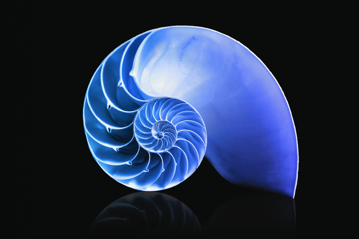 セクシーさを感じるフォルム（写真:iStock）