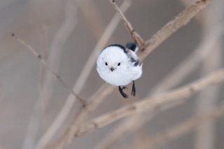 信念をもって 2020.12.14(月)