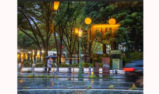 アスファルトを打つ雨音 2020.12.17(木)