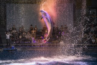 上を向いていこう 2020.12.27(日)