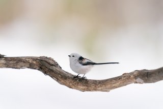 生きてるだけで丸儲け 2020.12.29（火）