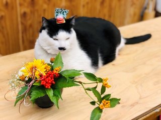 こんな年もあったな～っていつか笑い話になるやろ。それまで頑張ろ　（ｂｙ　さぶ店長）　