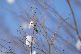 あなたってコは… 2021.1.13（水）
