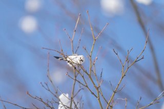 やっぱり、あなたってコは… 2021.1.18（月）