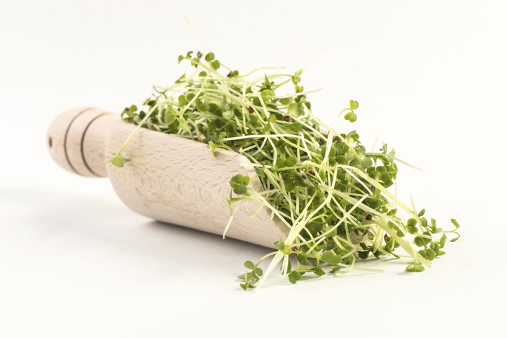 なんにでも合う「ブロッコリースプラウト」（写真:iStock）