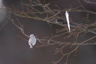 124年ぶりの節分の日 2021.2.2（火）