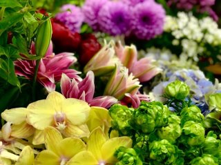 色と香りがアナタを癒す！花師オススメの「旬の香り花」5選