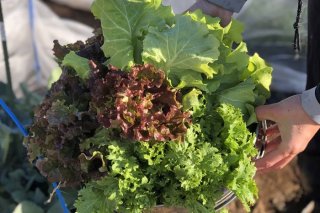 収穫体験 2021.2.14（日）