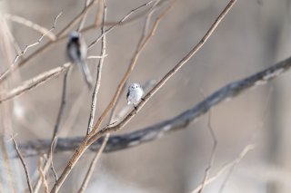 恋が始まる予感…！ 2021.2.22（月）