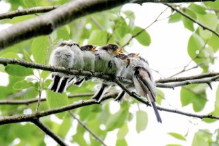 そして、子だくさん♡ 2021.3.4（木）