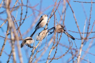 共助 2021.3.9（火）