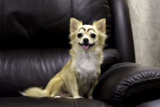 細眉と太眉どっちがいい？ 令和は自分に似合う形を選ぼう♡