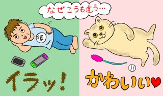 子宮全摘のひとり暮らし会社員ですが、え、まさか猫を飼う?